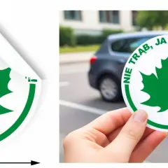 Gdzie kupić listek dla początkującego kierowcy? Sprawdź najlepsze miejsca