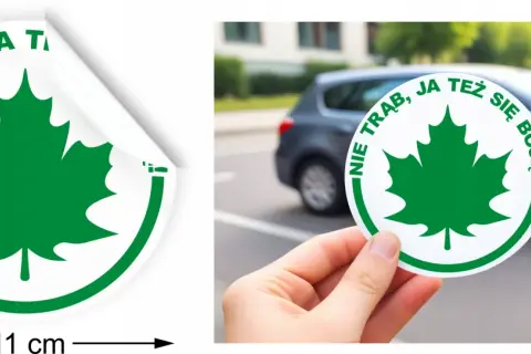 Gdzie kupić listek dla początkującego kierowcy? Sprawdź najlepsze miejsca